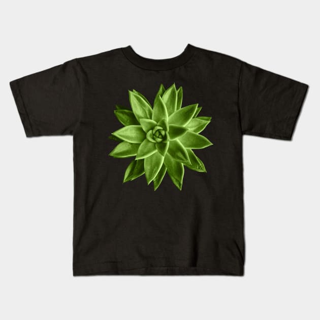 Greenery succulent Echeveria agavoides flower Kids T-Shirt by PLdesign